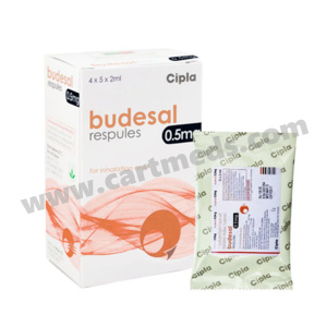 budesal-respules-0.5
